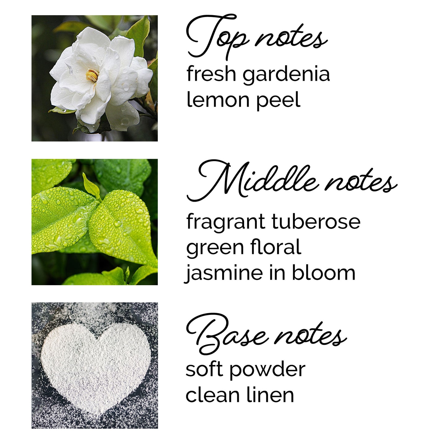 Gardenia Blossom Perfume Oil