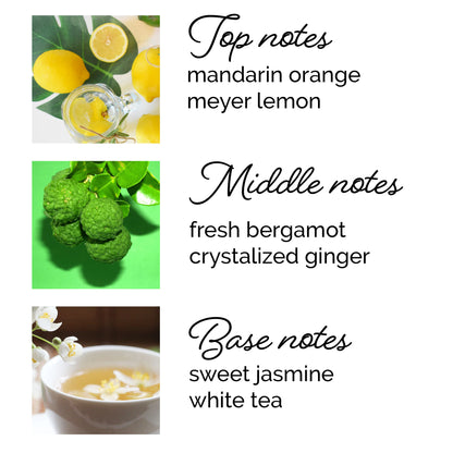 White Tea + Jasmine Fine Fragrance Mist